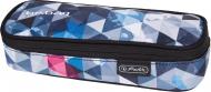 Пенал Be.Bag CUBE Snowboard 11410529 Herlitz серый