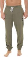 Брюки Converse Chuck Taylor Graphic Jogger р. S зеленый 10007072-322 Брюки Converse Chuck Taylor Graphic Jogger р. S зеленый 10007072-322