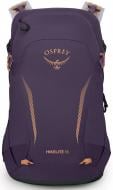 Рюкзак Osprey Hikelite 18 10006478 фиолетовый