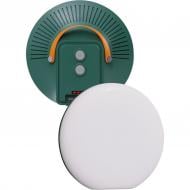 Лампа аккумуляторная Astor POWER-BANK 1000 Lm green LP1000