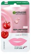 Маска Garnier Skin Naturals Skin Naturals для увлажнения и восстановления сухой кожи губ 6 г 1 шт.