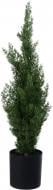 Растение искусственное елка в горшке пластик 12х70 см Sensio