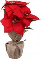 Растение искусственное пуансетия в льняном мешочке красный 11х32 см Sensio