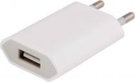 Зарядний пристрій PowerPlant PowerPlant Slim USB-устройство 1A (without blister) (DV00DV5061)