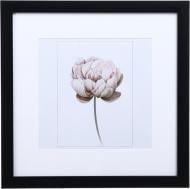 Фоторамка с паспарту Арт-Сервіс ЕА-01915 1 фото 20x20 см черный