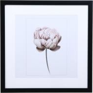 Фоторамка с паспарту Арт-Сервіс ЕА-01919 1 фото 30х30 см черный