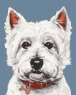 Картина по номерам Вайт терьер 11632-AC 38х50 см ART CRAFT
