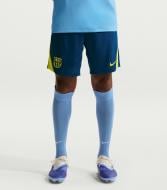 Шорты Nike FCB M NK DF STRK SHORT KZ SE FZ1348-431 р. 2XL голубой