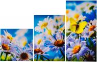 Картина модульна 3 частини Літо 60x90 см Картина модульна 3 частини Літо 60x90 см