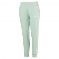 Брюки Puma Amplified Pants TR cl 58122132 р. XS зеленый