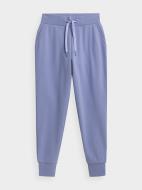 Брюки 4F NOSH4-SPDD351-32S р. XS фиолетовый