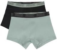 Труси чоловічі Puma MEN EVERYDAY TRUNKS 2P 93832119 L різнокольоровий