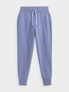 Брюки 4F NOSH4-SPDD351-32S р. XL фиолетовый