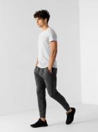 Брюки 4F NOSH4-SPMD350-23M р. S темно-серый