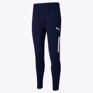 Брюки Puma TEAMLIGA TRAINING PANTS PRO PEACOAT-PUMA 65733206 р. L синий
