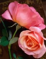 Картина по номерам Совершенные краски 13109-AC 40х50 см ART CRAFT