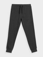 Брюки 4F NOSH4-SPMD351-24M р. XL светло-серый