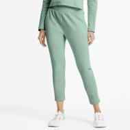 Брюки Puma EVOSTRIPE Pants 58125132 р. L зеленый Брюки Puma EVOSTRIPE Pants 58125132 р. L зеленый