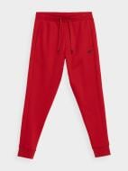 Брюки 4F NOSH4-SPMD351-62S р. L красный