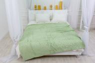 Плед №1024 Camellia 200x230 см mint MirSon