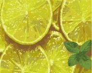 Картина по номерам Мятный цитрус 12014-AC 40х50 см ART CRAFT