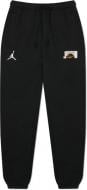 Брюки Jordan M J SPRT DNA HBR FLC PANT DC9635-010 р. M черный