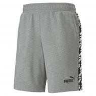 Шорты Puma AMPLIFIED Shorts TR 58141603 р. XS серый