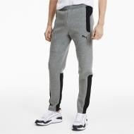 Штани Puma EVOSTRIPE Pants 58149603 р. XL сірий