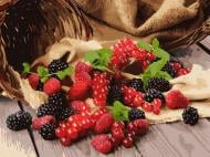 Картина по номерам Садовые ягоды 12013-AC 40х50 см ART CRAFT