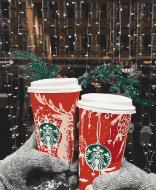 Картина по номерам Праздничное путешествие 12136-AC 40х50 см ART CRAFT