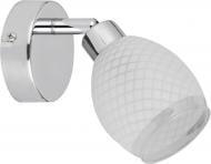 Спот Candellux TRANS 1x40 Вт G9 хром 91-08770 Спот Candellux TRANS 1x40 Вт G9 хром 91-08770