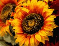 Картина по номерам Шпион солнца 13106-AC 40х50 см ART CRAFT