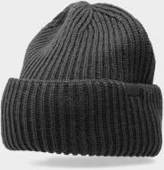 Шапка 4F 4FAW23ACAPM310-23S р.L серый