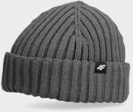 Шапка 4F 4FAW23ACAPM314-23S р.one size серый