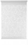 Ролета стандарт Delfa Роза 160x170 см белая