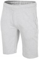 Шорти 4F H4L18-SKMD001-27M р. XL світло-сірий