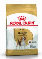 Корм сухий для дорослих собак для середніх порід Royal Canin Beagle 3 кг