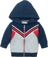 Толстовка для мальчика Dirkje р.116 серый D36570-35