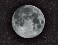 Фотообои Dimense на основе Ecodeco Космос 320x410 см 13,12 кв.м