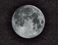 Фотообои Dimense на основе Ecodeco Космос 280x359 см 10,052 кв.м