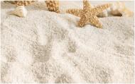 Плитка Golden Tile SUMMER STONE Holiday бежевый декор №4 В41341 25x40 Плитка Golden Tile SUMMER STONE Holiday бежевый декор №4 В41341 25x40