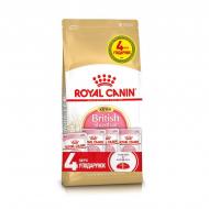 Набір корму для кошенят Royal Canin British Shorthair Kitten пауч 4х85 г + 2 кг