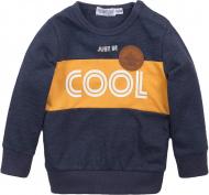 Свитер для мальчика Dirkje р.74 серый D36675-35