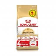 Набор корма для взрослых кошек породы мейн-кун Royal Canin Mainecoon пауч 4х85 г + 2 кг