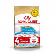 Набор корма Royal Canin Chihuahua Junior пауч 4х85г + 1,5 кг