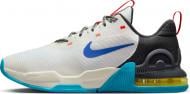 Кроссовки мужские демисезонные Nike AIR MAX ALPHA TRAINER 5 DM0829-100 р.43 белые