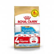 Набор корма Royal Canin Yorkshire Puppy пауч 4х85г + 1,5 кг