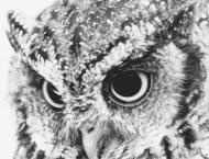 Набор для творчества со стразами на подрамнике Повелительница ночи 40x50 см (У) GoToArt