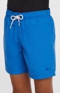 Шорты O'NEILL VERT SWIMSHORTS 4800106-15094 р. 164 голубой