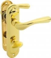 Ручка на планке Bruno 910K6 WC 62 мм золотой